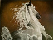 Horse painting 12