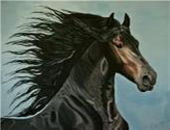 Horse painting 13