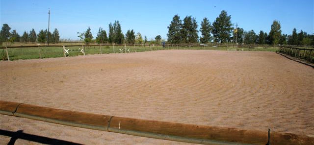 Our dressage area